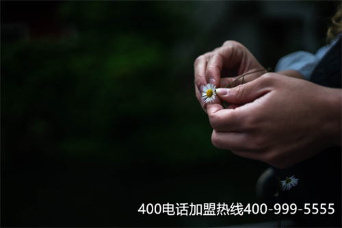(400電話的)(400電話是干什么的)