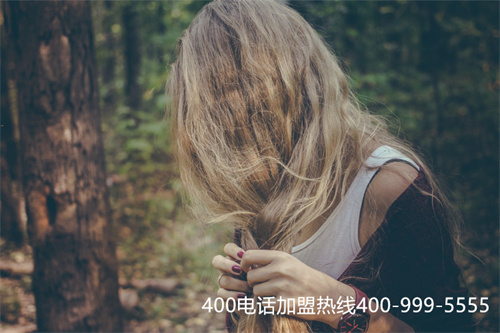 (400電話申請書)(400電話申請需要多少錢)
