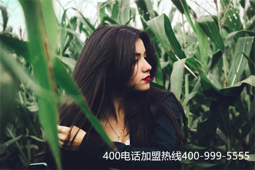 (4001屬于哪個運營商)(不同的代理商對400電話辦理有什么影響)
